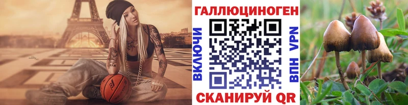 закладки  Лебедянь  Галлюциногенные грибы мухоморы 